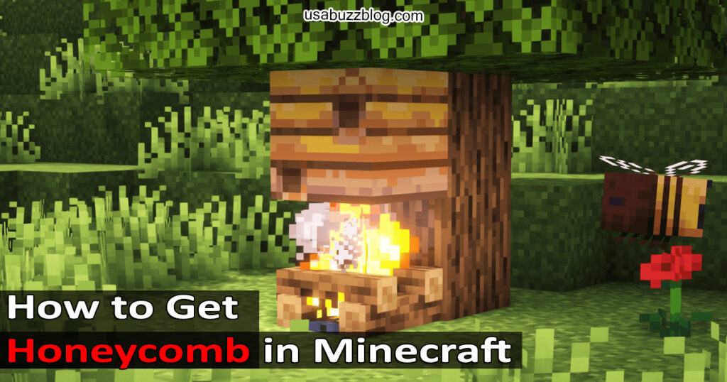 How to Get Honeycomb in Minecraft